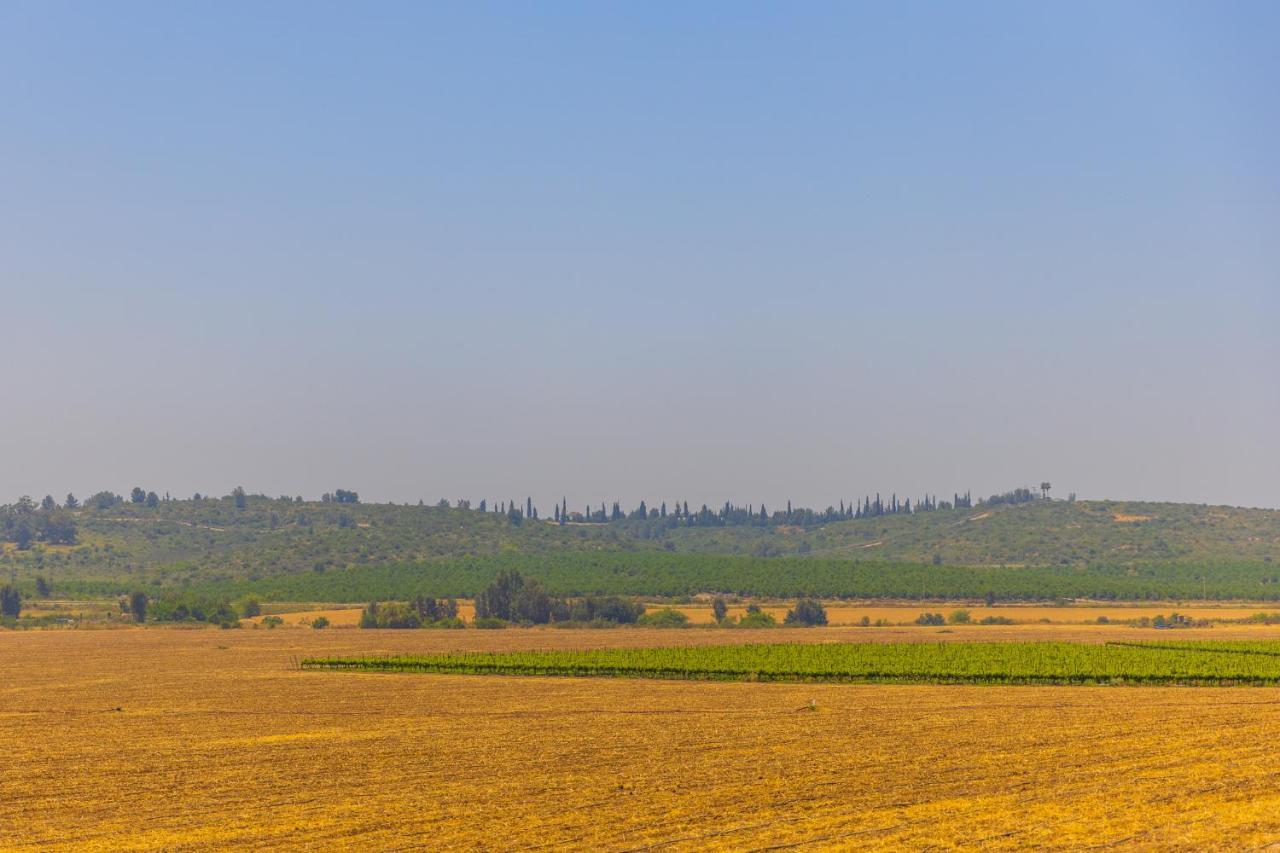 Tal Shahar Zimmers エクステリア 写真